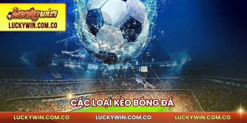 Các loại kèo bóng đá 
