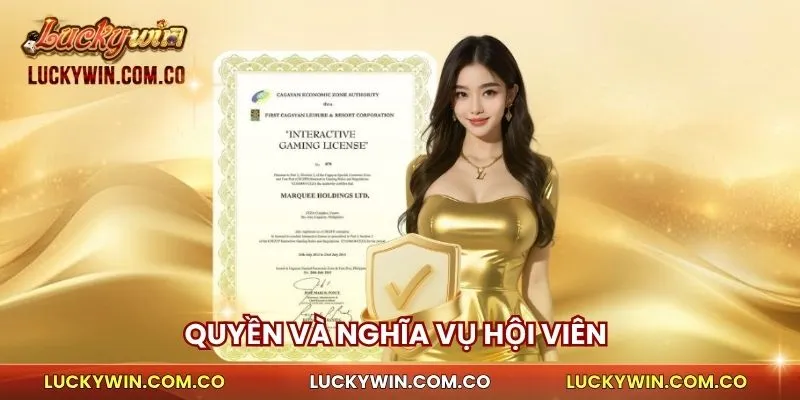 Điều Khoản Dịch Vụ 2 Quyền và nghĩa vụ hội viên